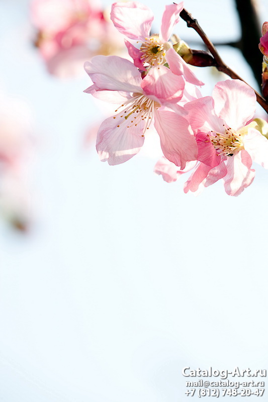 Blossom tree 39